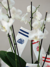 Load image into Gallery viewer, Hopi love - Kokolishi socks in classic Red