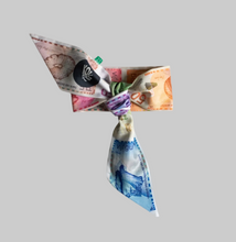 Load image into Gallery viewer, Florin / Guilder - Kokolishi twilly