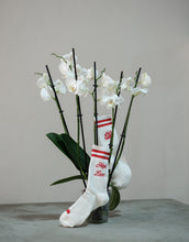 Load image into Gallery viewer, Hopi love - Kokolishi socks in classic Red