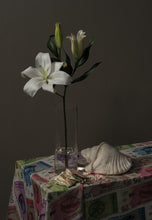 Load image into Gallery viewer, Kokolishi Florin (Guilders) Scarf 90x90