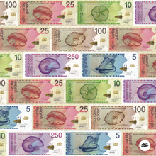 Load image into Gallery viewer, Kokolishi Florin (Guilders) Scarf 90x90