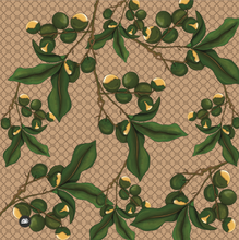 Load image into Gallery viewer, XL - Kenepa scarf