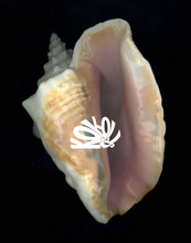 Load image into Gallery viewer, Kokolishi Hopi Love Jersey - Karko
