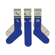Load image into Gallery viewer, Curacao 2 pack - Kokolishi socks
