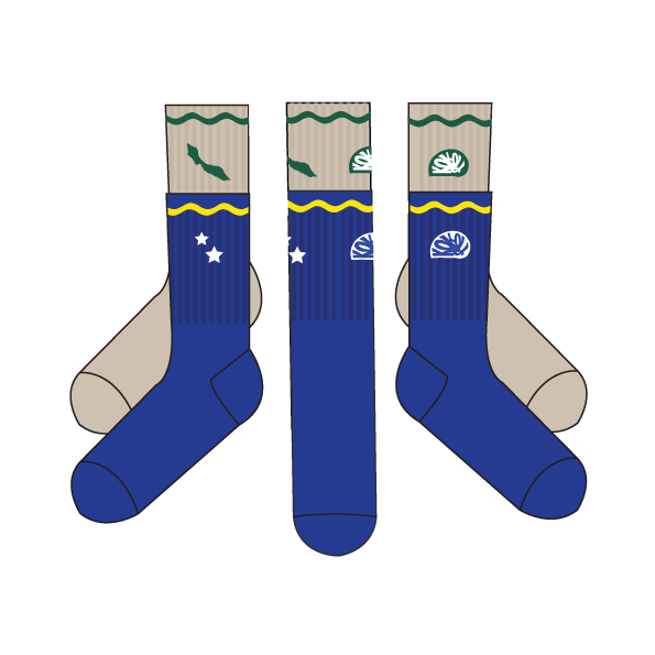 Curacao 2 pack - Kokolishi socks