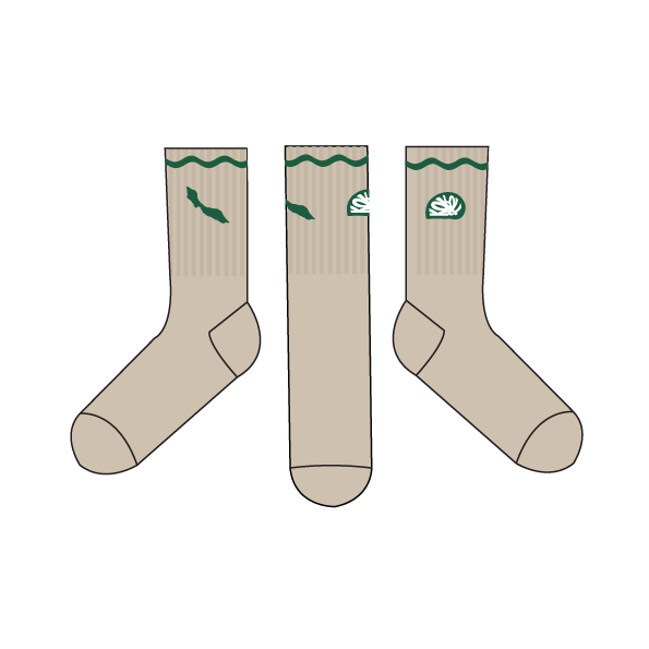 Curacao Map - Kokolishi socks